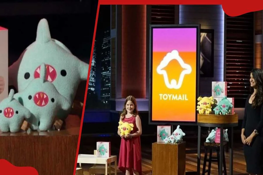 Toymail Shark Tank Net Worth